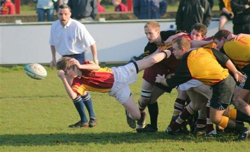 Sedgley vs Fylde